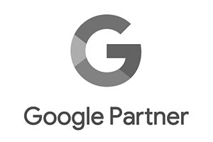 Google Partner logo